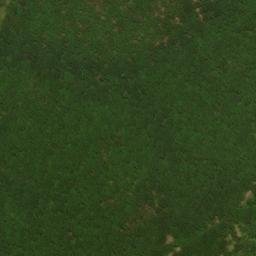 Satellite imagery of Chestnut Oak Ridge, US