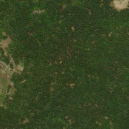 Satellite imagery of Chestnut Oak Ridge, US