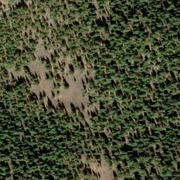 Satellite imagery of Buck Ridge, US