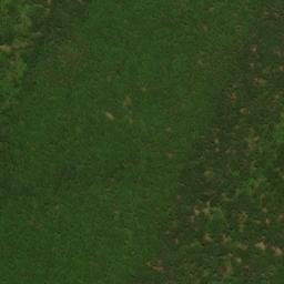 Satellite imagery of Chestnut Oak Ridge, US