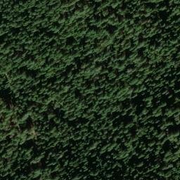 Satellite imagery of Lupine Point, US