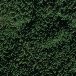 Satellite imagery of Lupine Point, US
