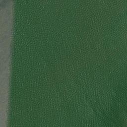 Satellite imagery of Plum Point, US