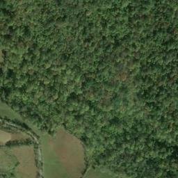 Satellite imagery of Y 78 — NGS JX0111 — Taylor County, US, US