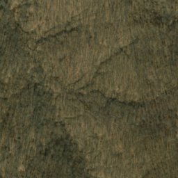 Satellite imagery of Shipman Ridge, US