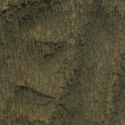 Satellite imagery of Shipman Ridge, US