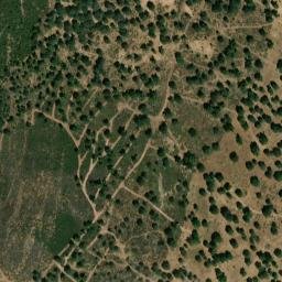 Satellite imagery of survey_point, PT
