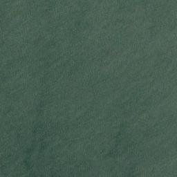 Satellite imagery of Ford Point, US