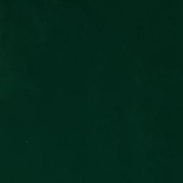Satellite imagery of Wilson Point, US