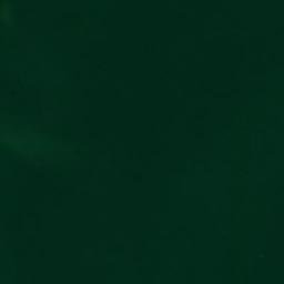 Satellite imagery of Log Point, US