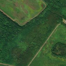 Satellite imagery of Little Neck, US