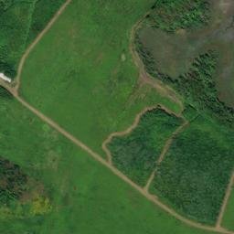 Satellite imagery of Little Neck, US
