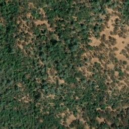 Satellite imagery of Point Defiance, US
