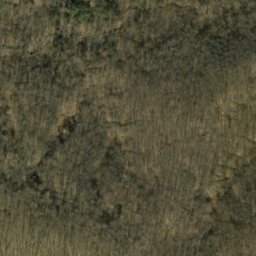 Satellite imagery of Gorley Ridge, US