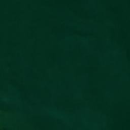 Satellite imagery of Turkey Point, US
