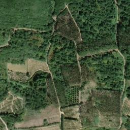 Satellite imagery of Miradouro da Serra do Picoto, PT