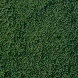Satellite imagery of Turkey Ridge, US