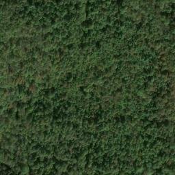 Satellite imagery of A 79 — NGS JX0114 — Taylor County, US, US