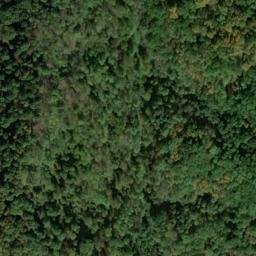 Satellite imagery of G 81 — NGS JX0269 — Doddridge County, US, US