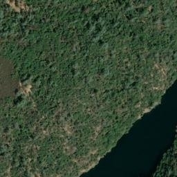 Satellite imagery of Johnsons Bluff, US