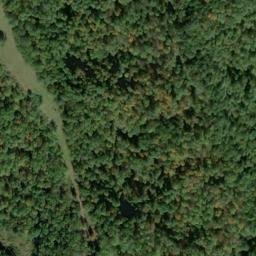 Satellite imagery of G 81 — NGS JX0269 — Doddridge County, US, US