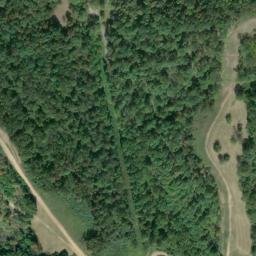 Satellite imagery of P 81 — NGS JX0279 — Ritchie County, US, US