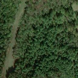 Satellite imagery of Z 80 — NGS JX0259 — Doddridge County, US, US