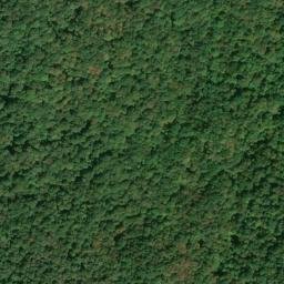Satellite imagery of Spruce Hill, US