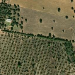 Satellite imagery of survey_point, ES