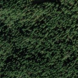 Satellite imagery of Swamp Angel Mine, US