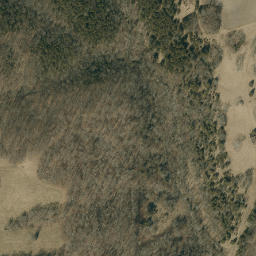 Satellite imagery of Dog Ridge, US