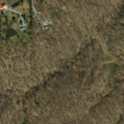 Satellite imagery of Panther Lick Ridge, US