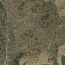 Satellite imagery of Dog Ridge, US