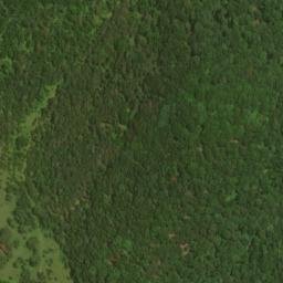 Satellite imagery of Island Ridge, US