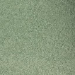 Satellite imagery of Goose Point, US
