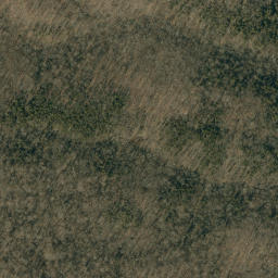 Satellite imagery of Dog Ridge, US