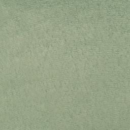 Satellite imagery of Goose Point, US