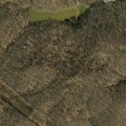 Satellite imagery of Panther Lick Ridge, US