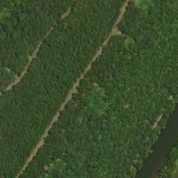 Satellite imagery of Island Ridge, US