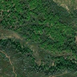 Satellite imagery of Pine Needle Point, US