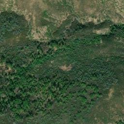 Satellite imagery of Pine Needle Point, US