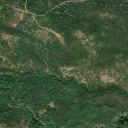 Satellite imagery of Pine Needle Point, US