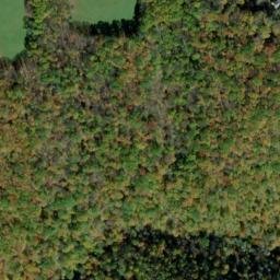 Satellite imagery of White Ridge, US