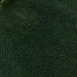 Satellite imagery of Coffin Point, US