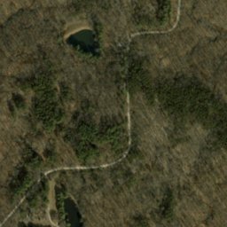 Satellite imagery of Pattys Garden Ridge, US