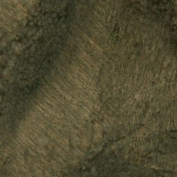 Satellite imagery of Lee Brown Ridge, US