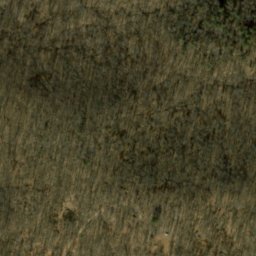 Satellite imagery of Lee Brown Ridge, US