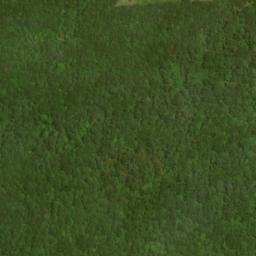 Satellite imagery of Patterson Creek Mountain, US