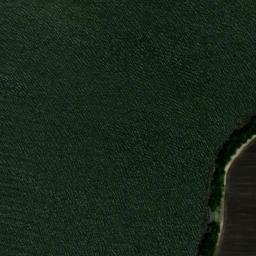 Satellite imagery of Lloyd Point, US