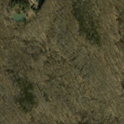 Satellite imagery of Pattys Garden Ridge, US